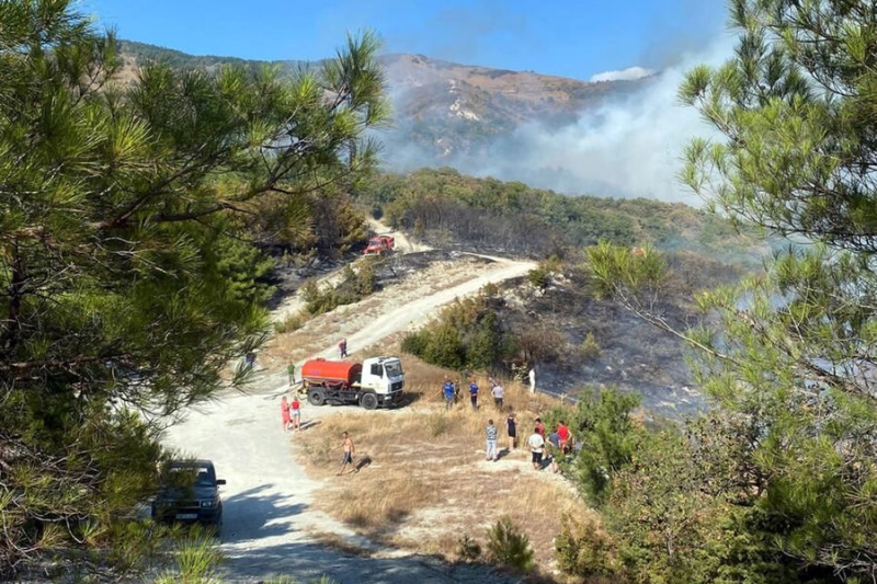 В Геленджике пожар окружил отели и перекинулся на лес. Виновника задержали 