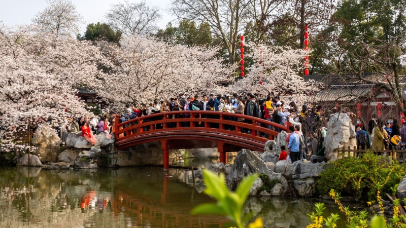 Эксперт оценил возможности для торговли между Россией и странами АТР