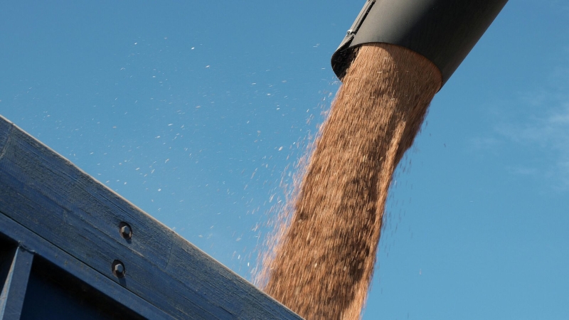 Песков рассказал о реализации инициативы по поставкам зерна странам Африки