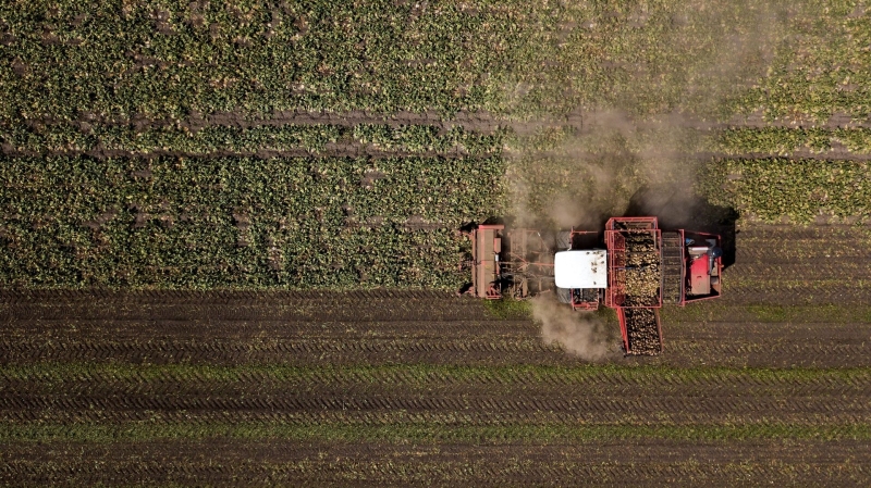 На Кубани разработают закон для повышения качества семян