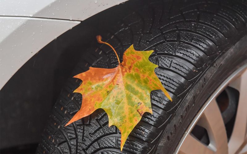 
            Шипы или липучка. Какие шины лучше выбрать
        