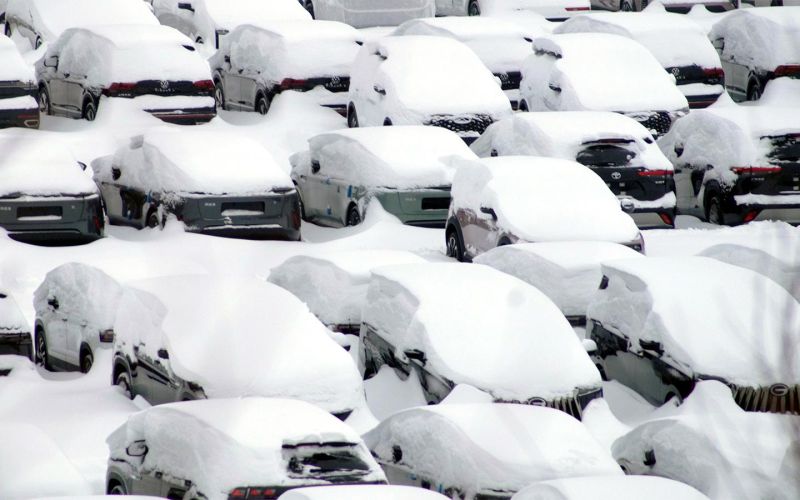 На бывшем заводе Volkswagen в России обнаружены тысячи новых машин. Фото