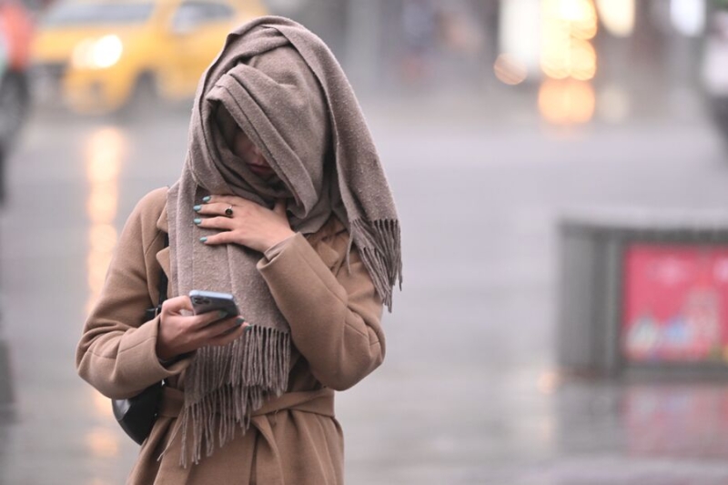 В регионах России произошел массовый сбой в работе сайтов с доменом .ru 