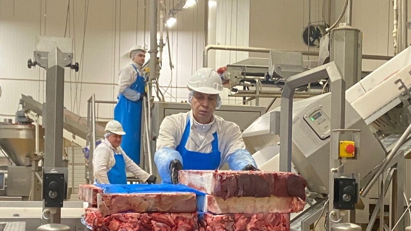 "Мираторг" рассчитывает на старт поставок свинины в Китай