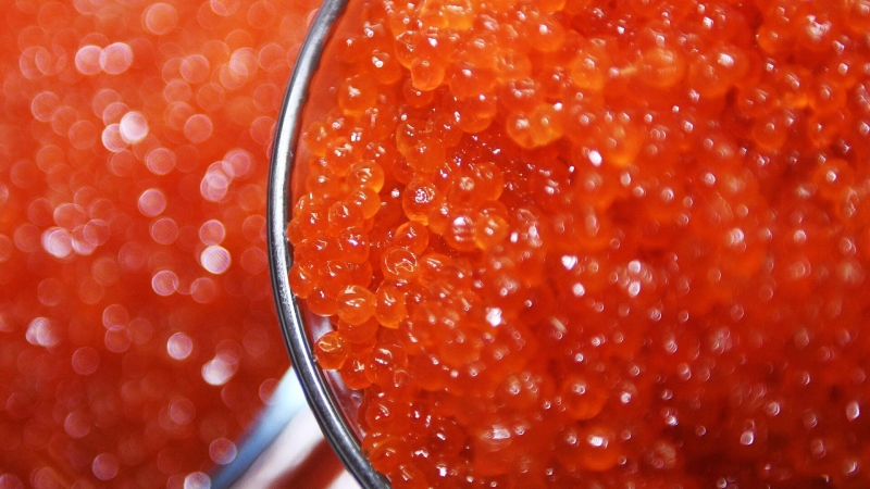 В ВАРПЭ исключили предпосылки для роста цен на красную икру в Масленицу