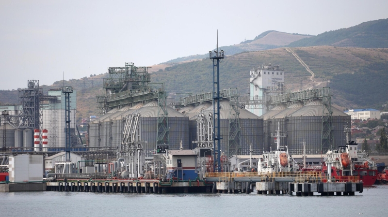 Правительство утвердило дополнительную квоту на вывоз зерновых