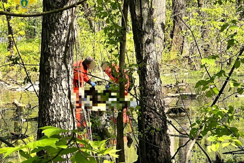 Найденная мертвой в Измайловском парке школьница могла отравиться психотропами 