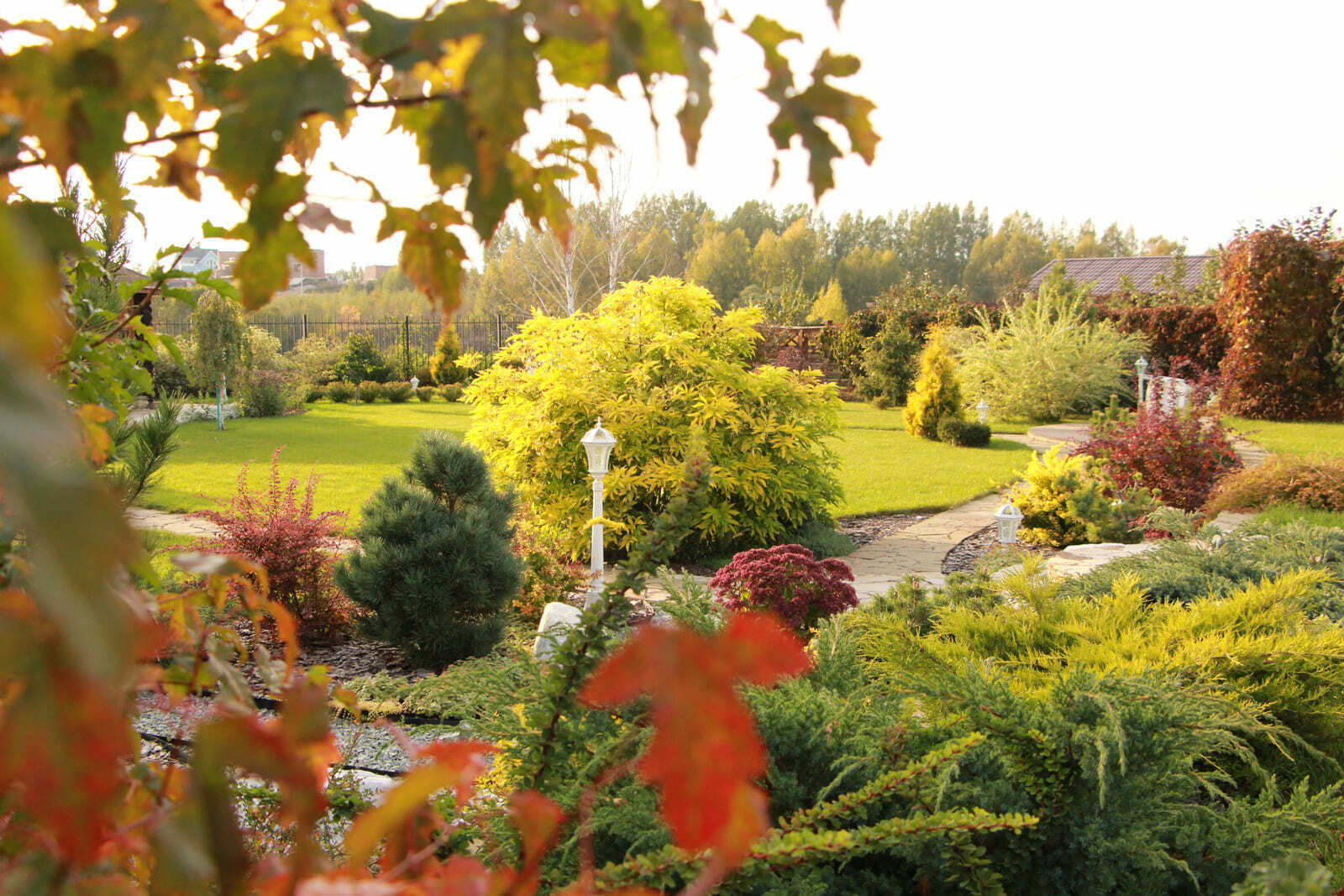 Сад моей души: от скромной мечты к цветущему раю
