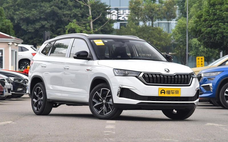 
            В России начались продажи новых Skoda и BMW. Цены и подробности
        