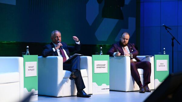 Браверман: ВЭБ инвестирует в инфраструктуру реабилитационных центров