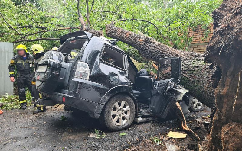
            Страховщики раскрыли сумму выплат за падение предметов на автомобили
        
