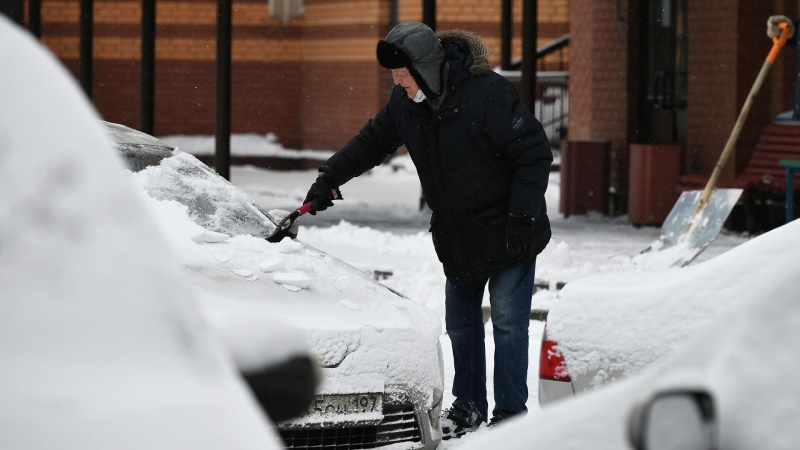 Льготы по транспортному налогу: кому положены и как получить в 2024 году