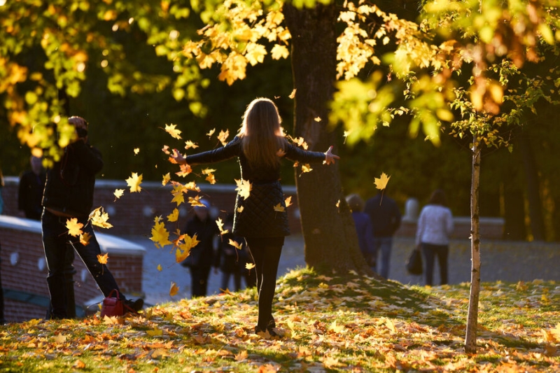 Производственный календарь на ноябрь 2024 года: праздники и рабочие дни в ноябре 