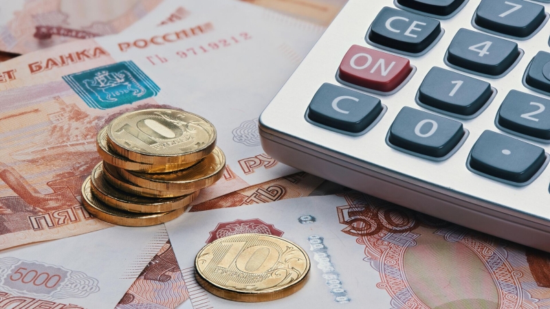 Депутат призвала россиян активнее получать налоговые вычеты