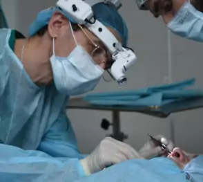 ЛОР-хирургия