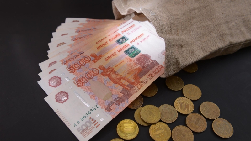 В России выделили деньги на взносы в международные организации