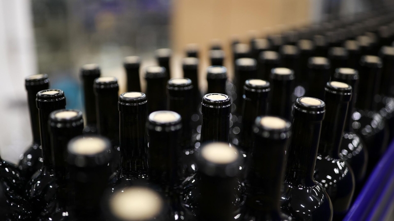 Импорт чешского вина в Россию резко вырос в 2024 году