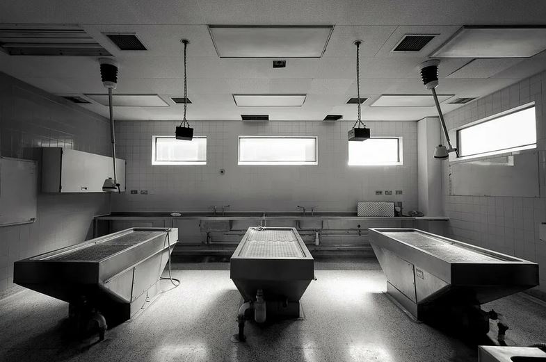 Патологоанатомическое отделение Научно-исследовательского института скорой помощи имени Склифосовского: специализированный приём и хранение тел умерших в Центральном административном округе города Москвы.