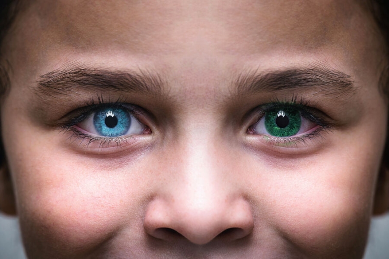 31 марта — какой сегодня праздник? Что отмечают в этот день в России и мире 