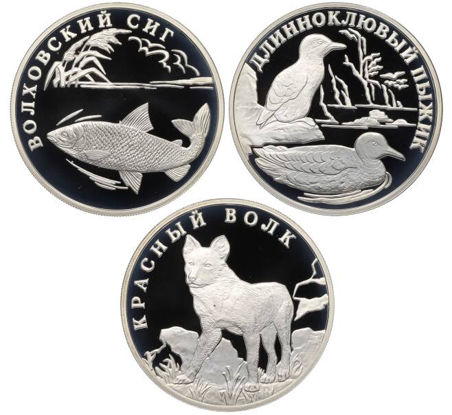 Подарочные наборы современных российских монет: топ-5 лучших вариантов