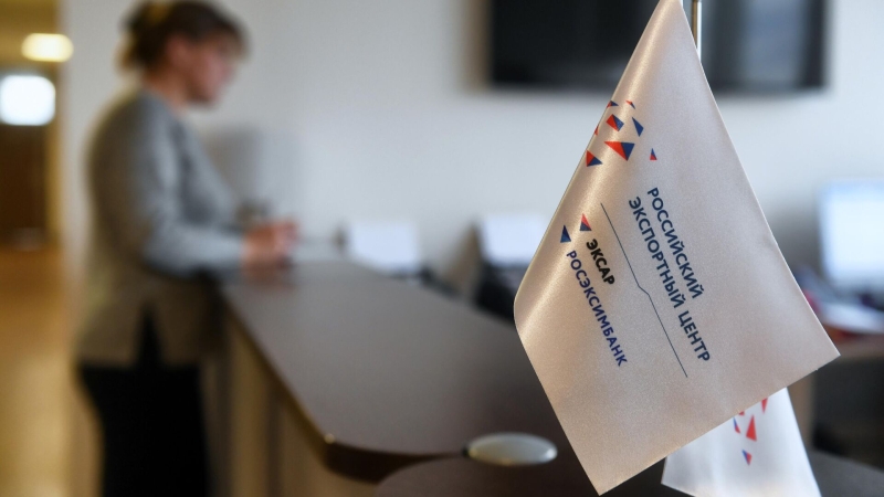 Алексей Дюмин и Вероника Никишина обсудили вопросы развития экспорта