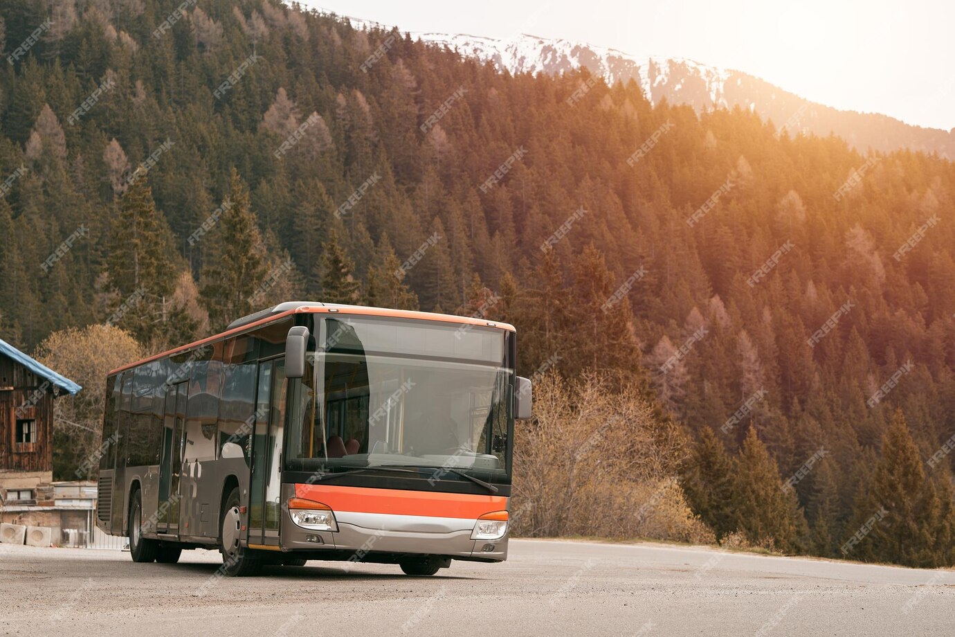 Как лучше приобрести билет на автобус: онлайн или офлайн?