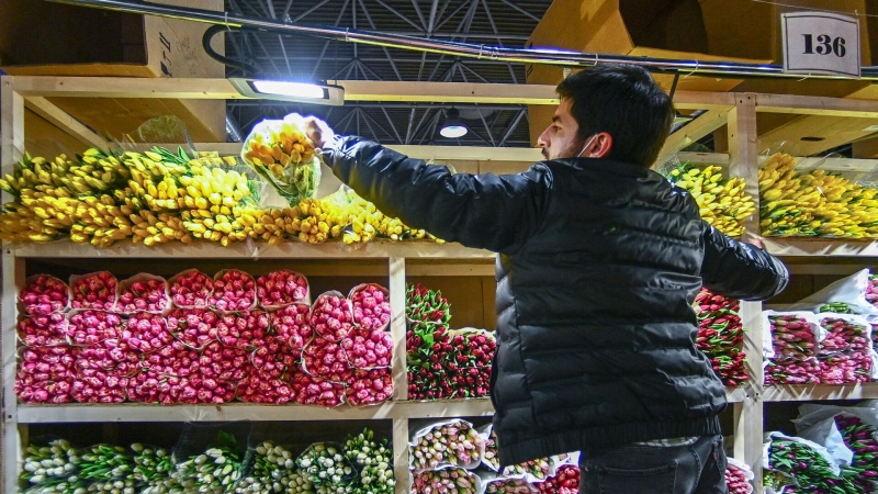 Посол Эквадора рассказал о важности экспорта цветов в Россию