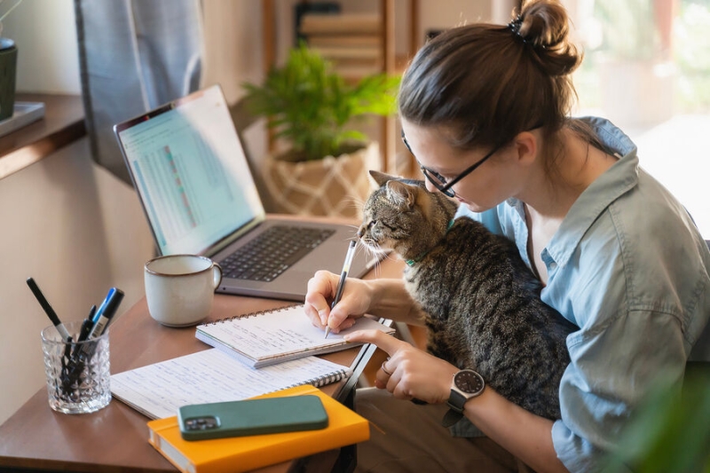 10 апреля — какой сегодня праздник? Что отмечают в этот день в России и мире 