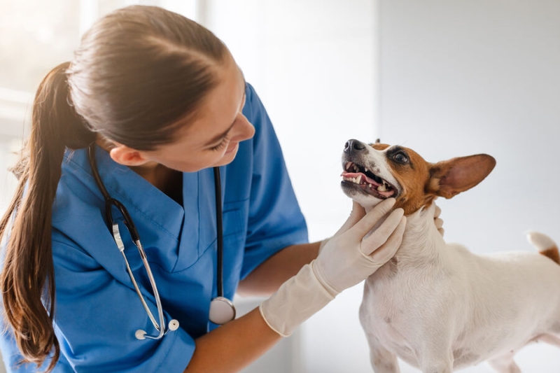 26 апреля — какой сегодня праздник? Что отмечают в этот день в России и мире 