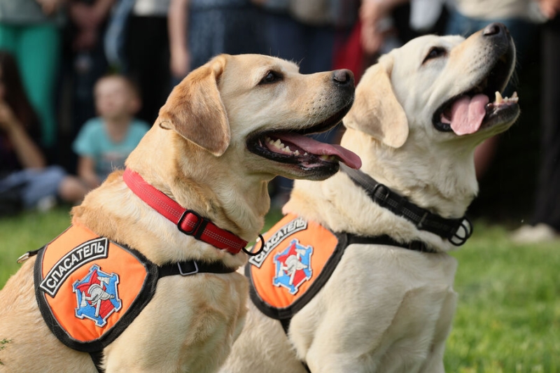 27 апреля — какой сегодня праздник? Что отмечают в этот день в России и мире 