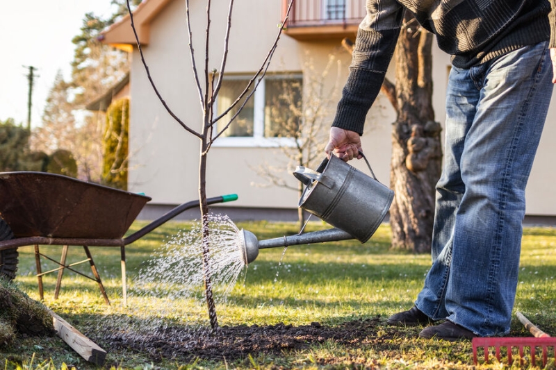 5 апреля — какой сегодня праздник? Что отмечают в этот день в России и мире 