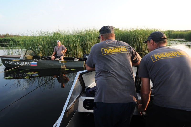 7 апреля — какой сегодня праздник? Что отмечают в этот день в России и мире 