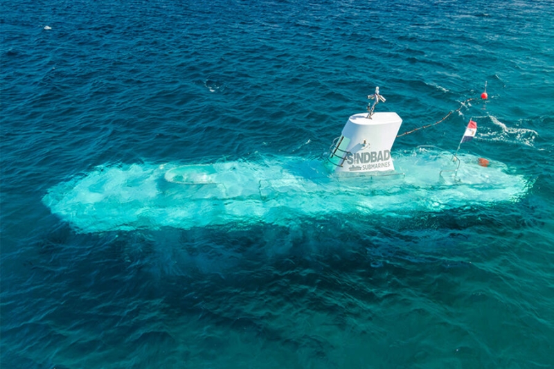 Была на ИВЛ: умерла девочка, пострадавшая при крушении батискафа в Египте 