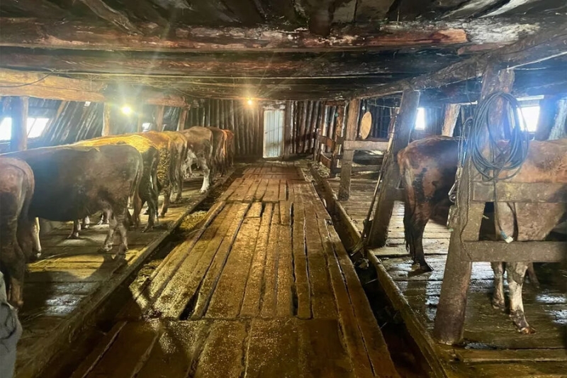 «Все подгонял: «Быстрее, быстрее». Фермер из Якутии держал рабов, один из них убежал