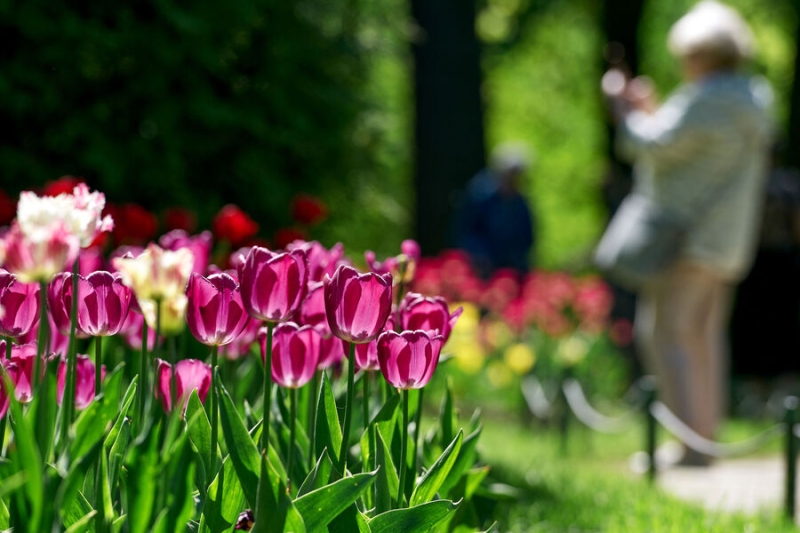 Выходные и праздники в мае 2025 года: как мы отдыхаем и что будем отмечать 