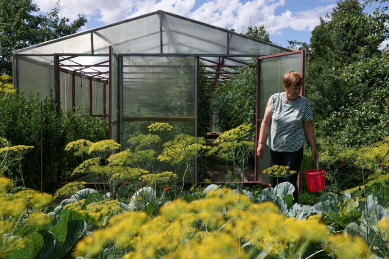 До восьми лет лишения свободы. Что запрещено выращивать на дачных участках 