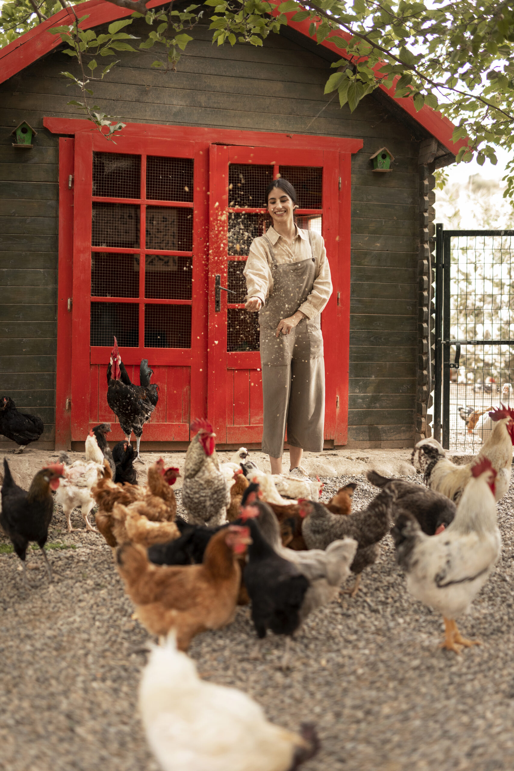 Курятник под ключ: комфортное жилье для ваших кур