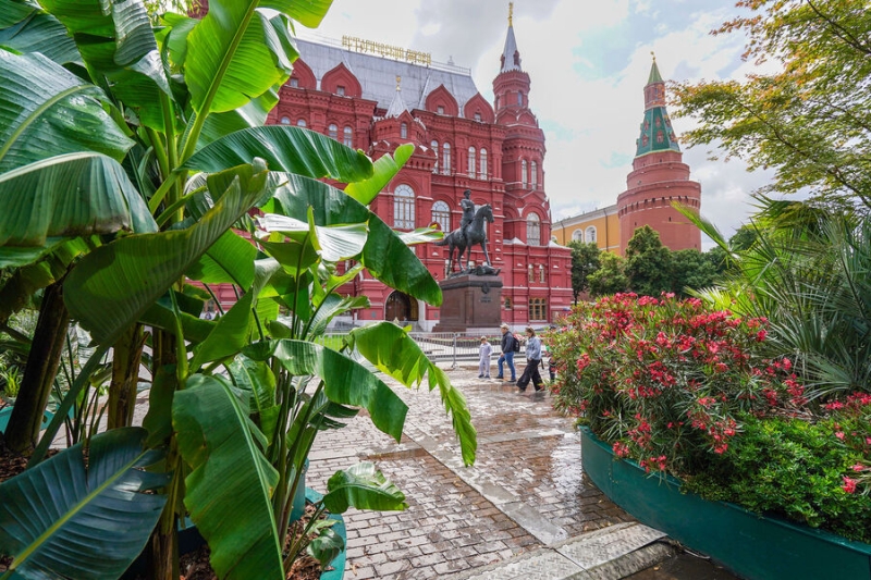 Москва утонула в цветах. Как озеленение спасает мегаполис от жары и привлекает туристов 
