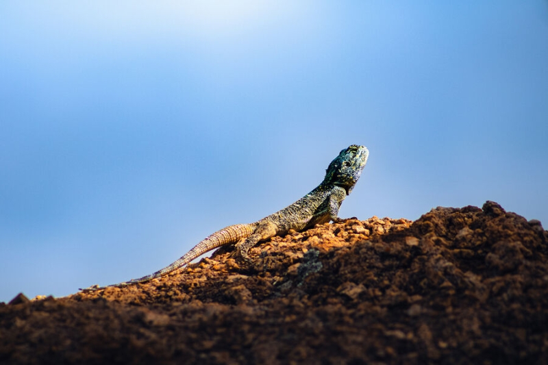 14 августа — какой сегодня праздник? Что отмечают в этот день в России и мире 