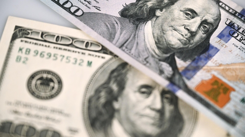 Экономист объяснила, стоит ли спешить с покупкой долларов