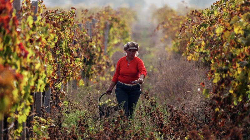 Губернатор Севастополя рассказал, куда приходится больше всего инвестиций