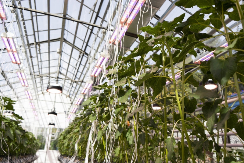 Молодежь продвигает науку. Как работает программа стратегического академического лидерства 