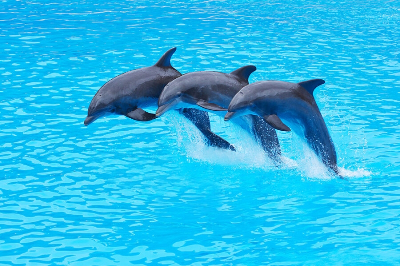 12 сентября — какой сегодня праздник? Что отмечают в этот день в России и мире 