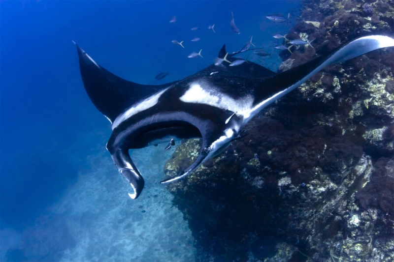 17 сентября — какой сегодня праздник? Что отмечают в этот день в России и мире 