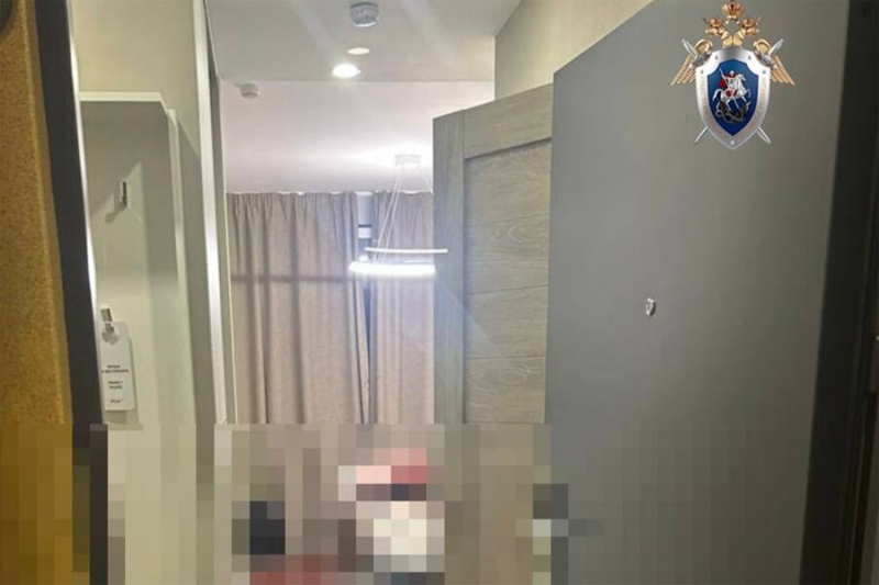 «Мать запрещала общаться». Знакомый из онлайн-игры заманил школьницу в отель и зарезал 