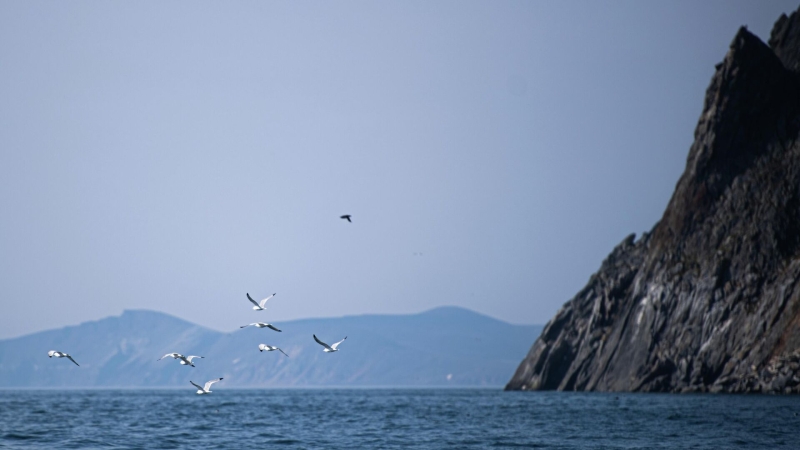 Автор проекта оценил стоимость тоннеля между Чукоткой и Аляской