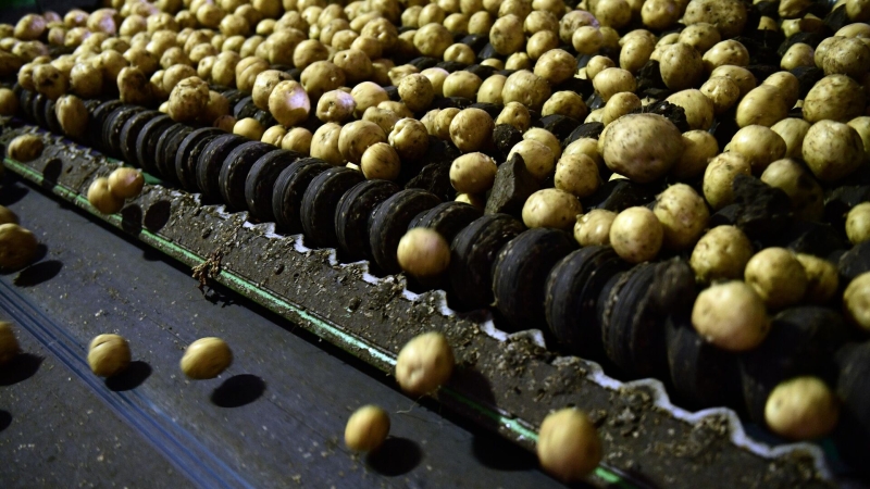 Эксперт рассказал, как решить кадровую проблему в АПК России