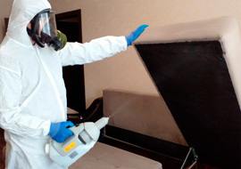 Станции дезинсекции: что это, услуги и преимущества