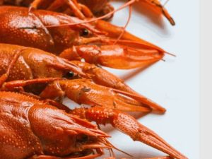 Варёные раки — идеальный деликатес для ценителей вкуса